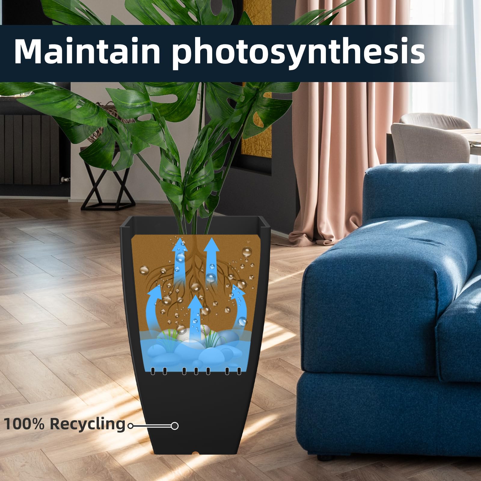 https://m.media-amazon.com/images/I/71FhR4-ZWaL.jpg