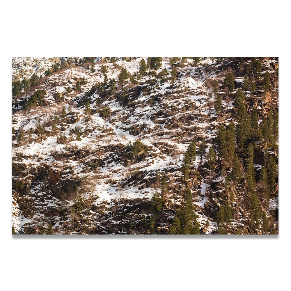 VHdfgTY The Snow MeltsMountain Landscape Canvas Wall Art Nature Scenery Wall Decor for Home 70x105cm Unframed
