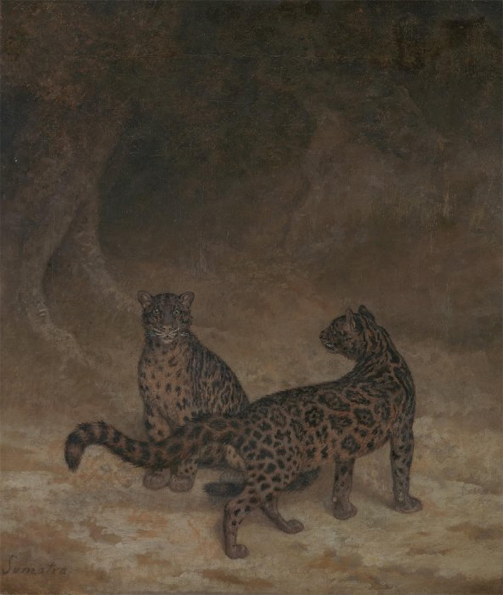 POSTERIIk Famous Animal Posters Vintage Picture Clouded Leopards by Jacques Laurent Agasse Modern Wall Decor for Home Decor 60x90cm