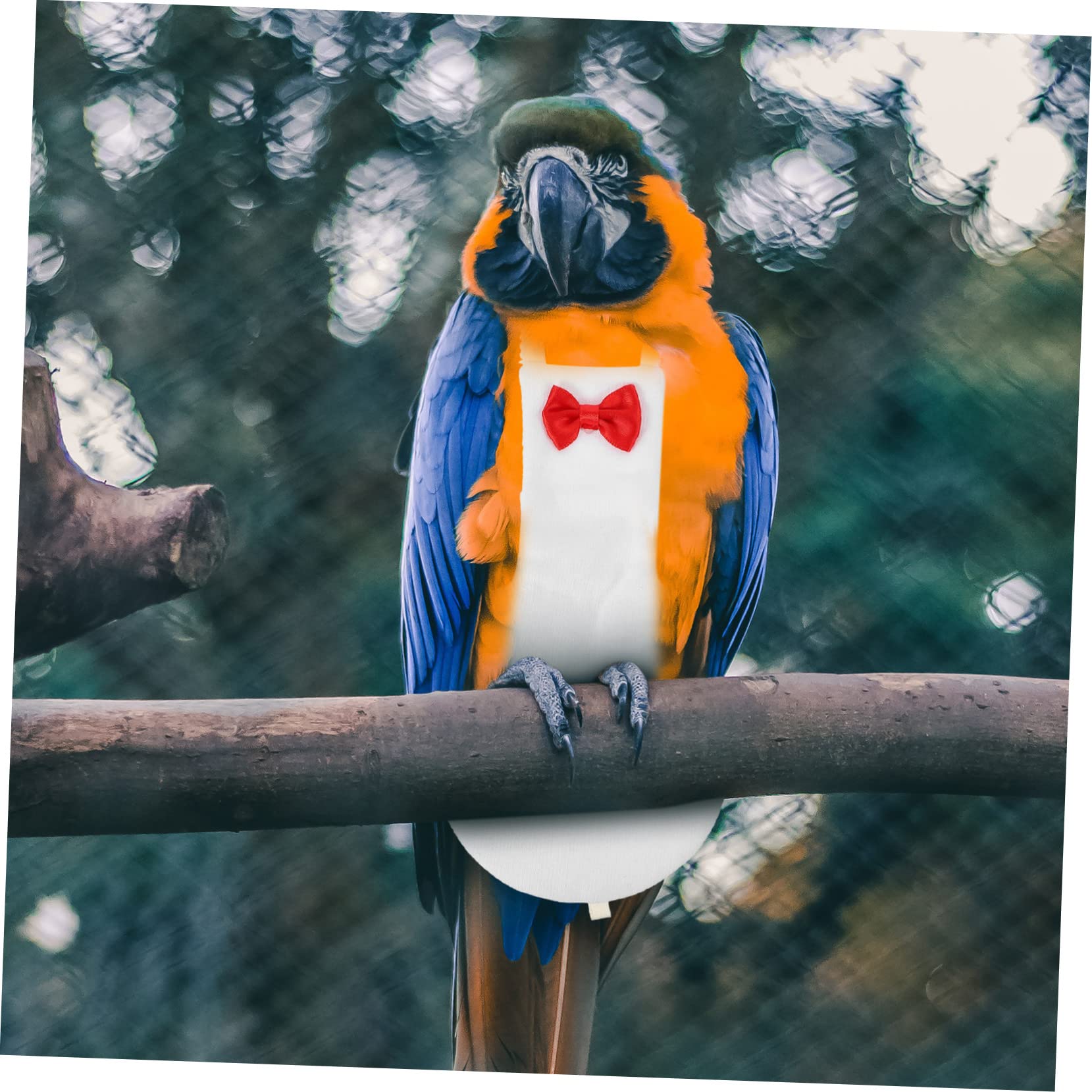 5pièces Vêtement pour Oiseaux Couverture Respirant avec Absorbante Costume De Vol pour Perroquets Et Petits Oiseaux Élégant avec Nœud