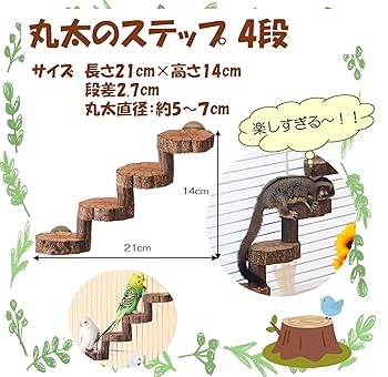 Amazon.co.jp: モモンガ ケージ フクロモモンガ フード