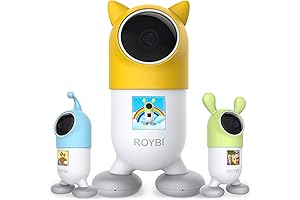 Roybi Robot: Empowering Preschoolers with Language Learning through Play