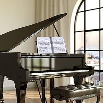 Music Sheet Folder - A4 Flexi Display Book Folder With 20 Pages/ 40 Pockets - Concert Choral