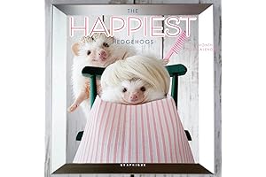 2024 Happiest Possums Yearly Wall Calendar