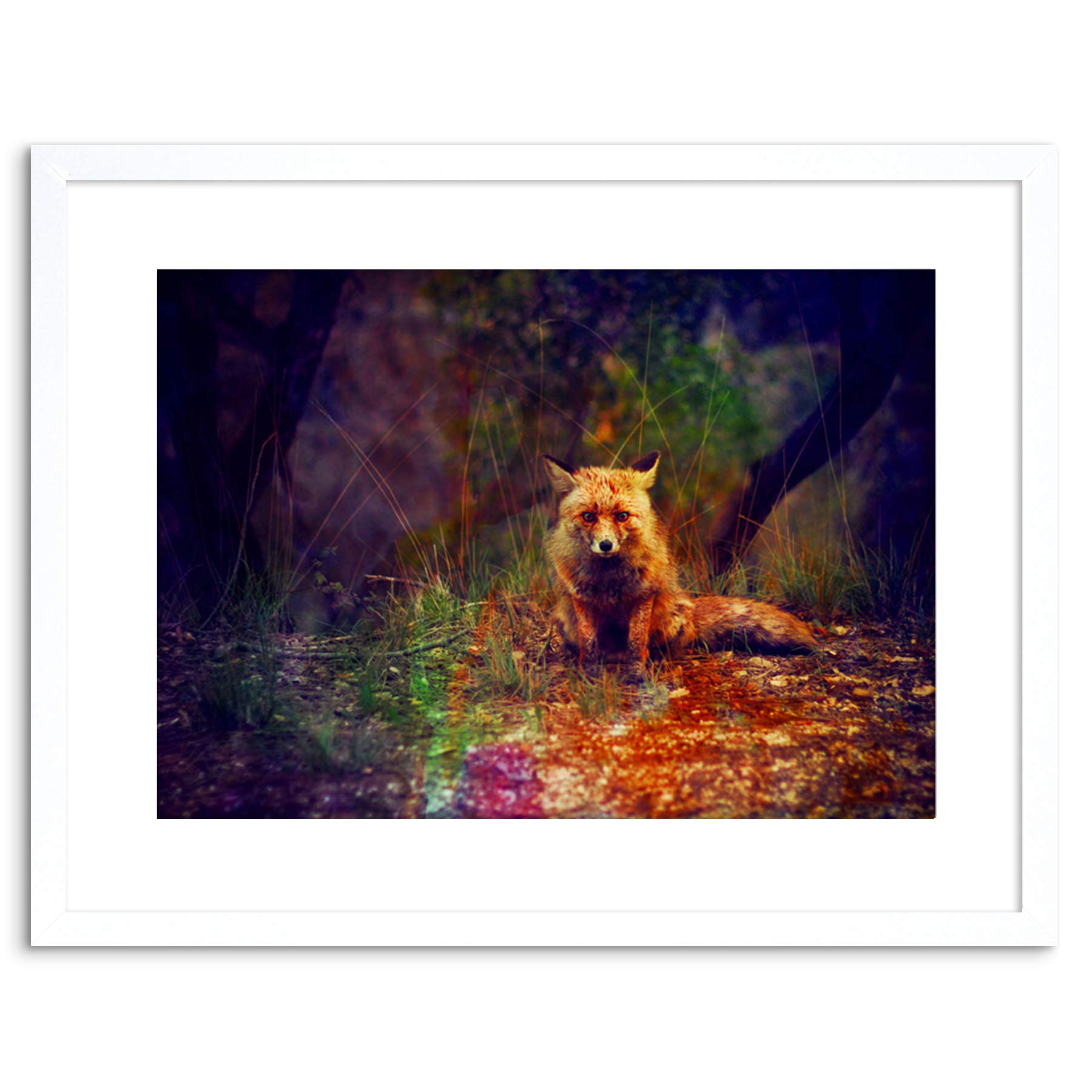 Wee Blue CooPHOTO PAINTING ANIMAL LONE FOX IN A FOREST FRAMED ART PRINT POSTER F97X12240