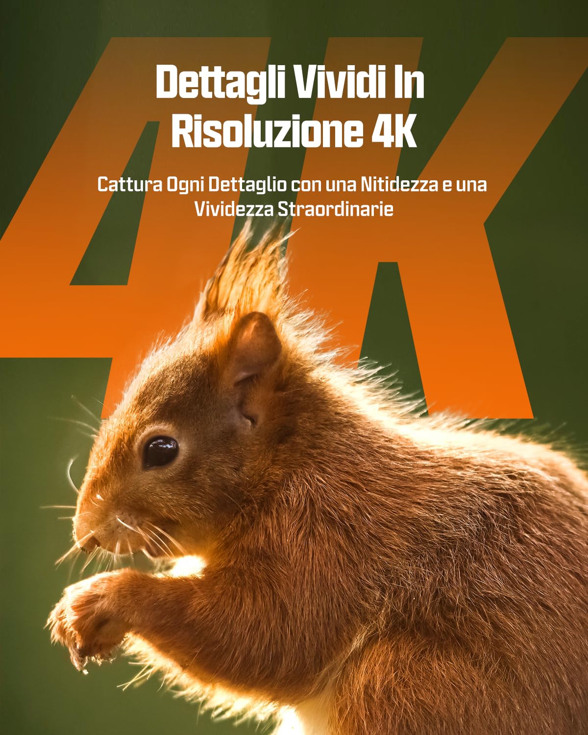 CEYOMUR 4K UHD Fototrappola Solare, Wifi 6 Fototrappola Notturna con 120° Rilevamento Batteria Ricaricabile da 5200mAh, Fotocamera Caccia con Impermeabile IP66 Scheda SD da 64GB