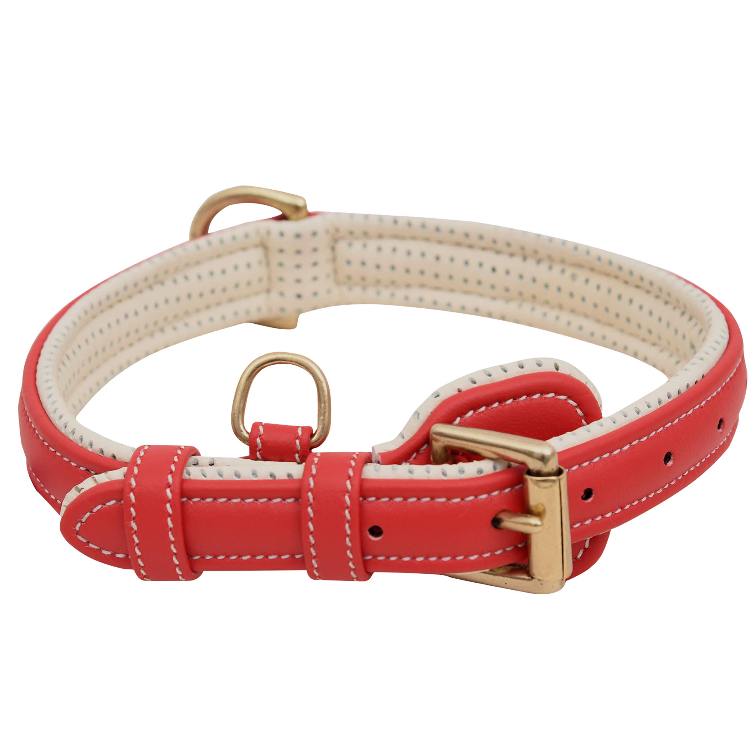 Are Leather Collars Comfortable For Dogs