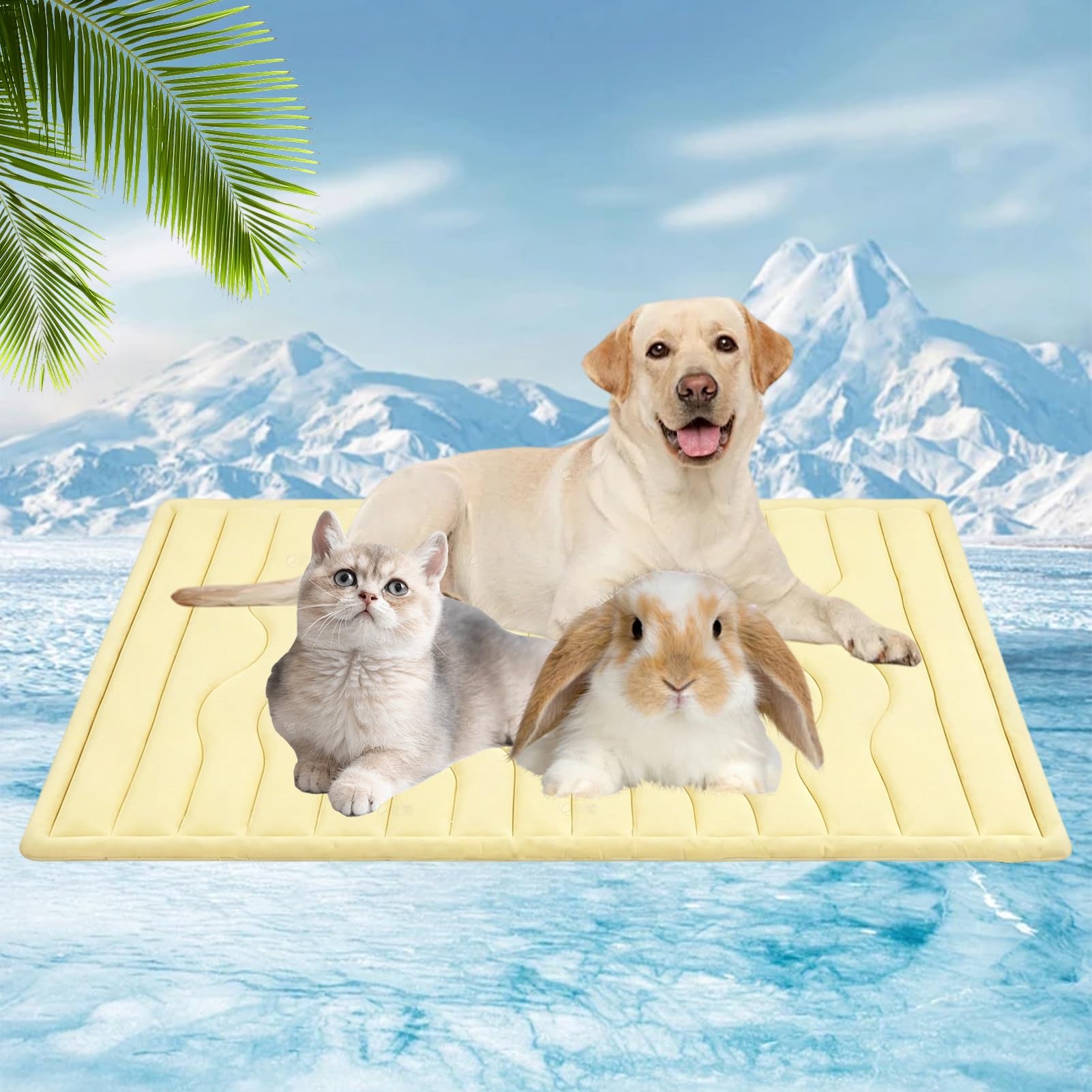 Tapis rafraîchissant pour chiens été Arc-Chill grand chien XL