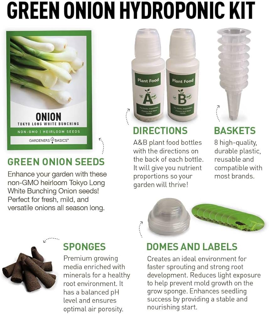 71FhoS5srGL._AC_UF894,