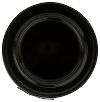 Vista 4 de 365 By Whole Foods Market, Crema de tártaro, 3.62 onzas