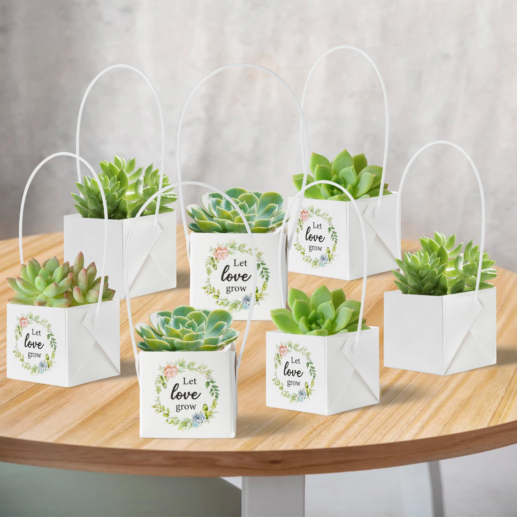 Adult Easter Basket plants