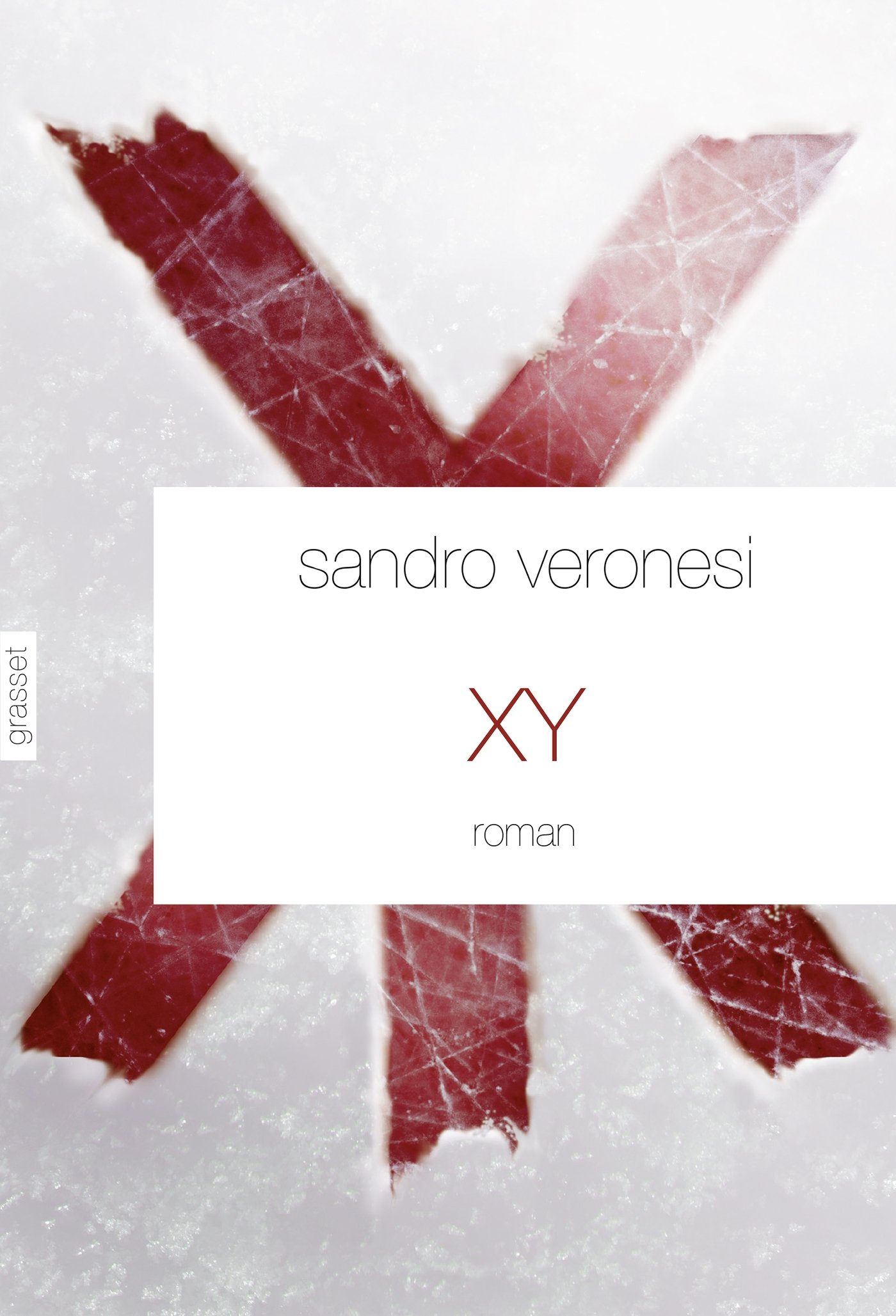 XY: roman - traduit de l'italien par Jean-Paul Manganaro (Littérature Etrangère) (French Edition)