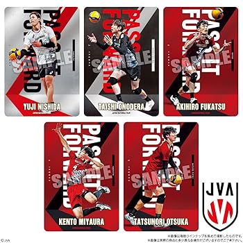 JAPAN NATIONAL VOLLEYBALL TEAM ツインウエハース JAPAN NATIONAL VOLLEYBALL TEAM ツインウエハース 2025｜発売日