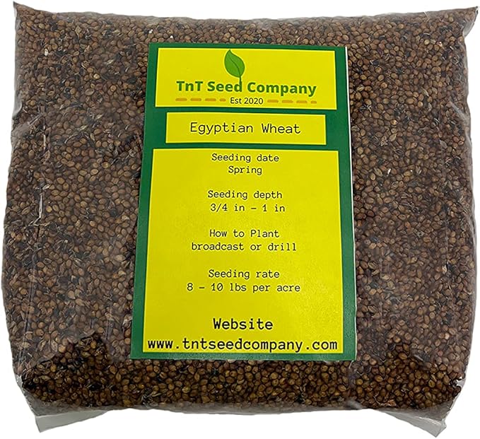Egyptian Wheat Seed Great for Food Plot Screens and Upland Bird Habitat 5 LB