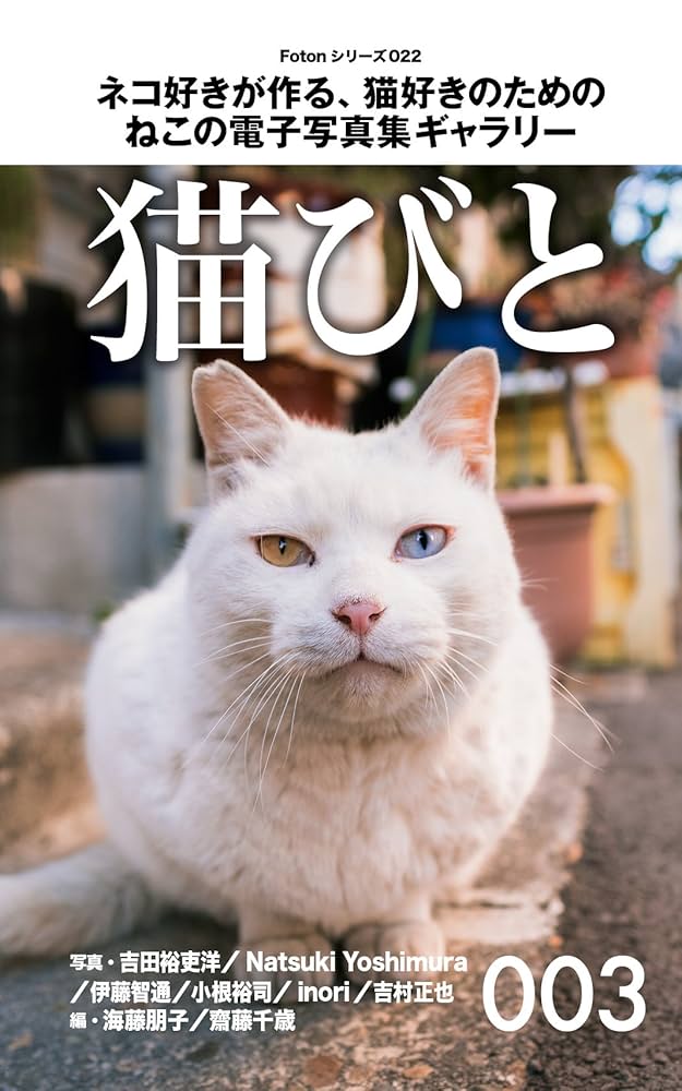 テリー今野、【三びきの猫】、希少な画集より、状態良好、新品高級額装付 Amazon.co.jp: Fotonシリーズ022 ネコ好きが作る、猫好きのため