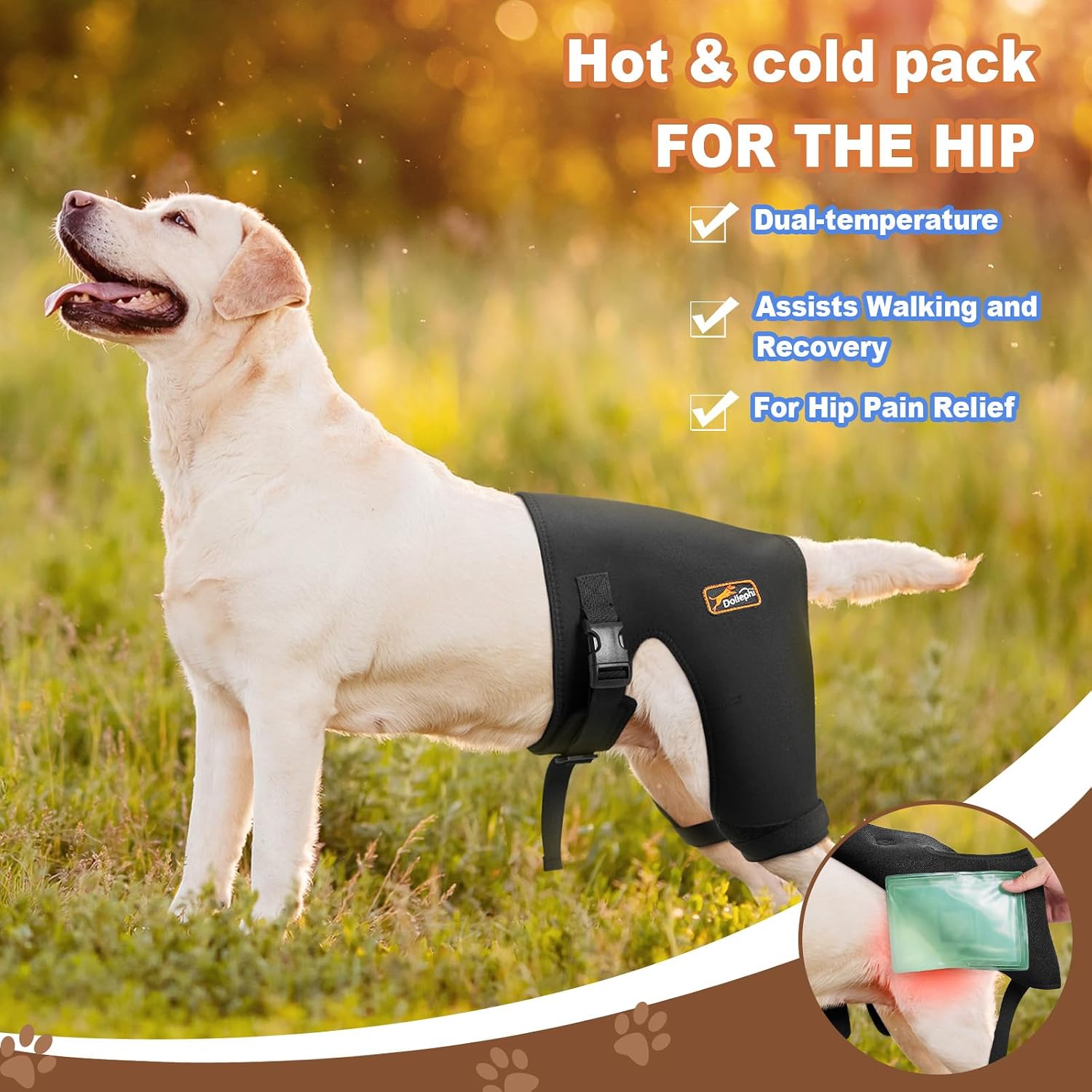 Dog Hip Brace with Removable Hot/Cold Pack – Breathable & Comfortable Rear Leg Support for Hip Dysplasia, Arthritis, ACL Instability, Limping, Mobility & Pain Relief,Patent Pending(Female Dog, L)