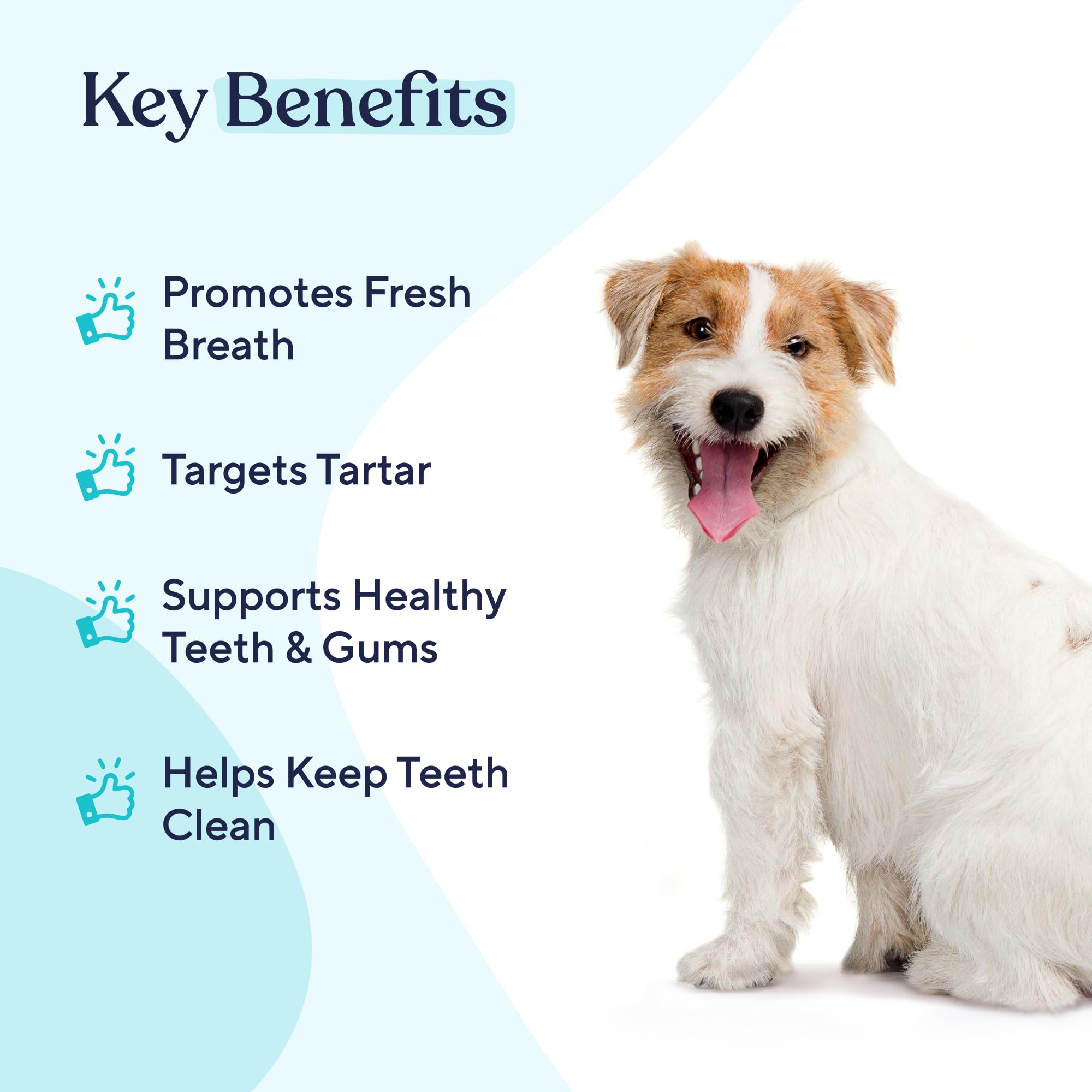 Pawfy Dog Breath Freshener with Specialized Dental Care Formula | Dog Teeth Cleaning & Mouthwash | Helps Freshen Dogs Breath with Easy Water Additive | Supports Plaque and Tartar Control - image 2
