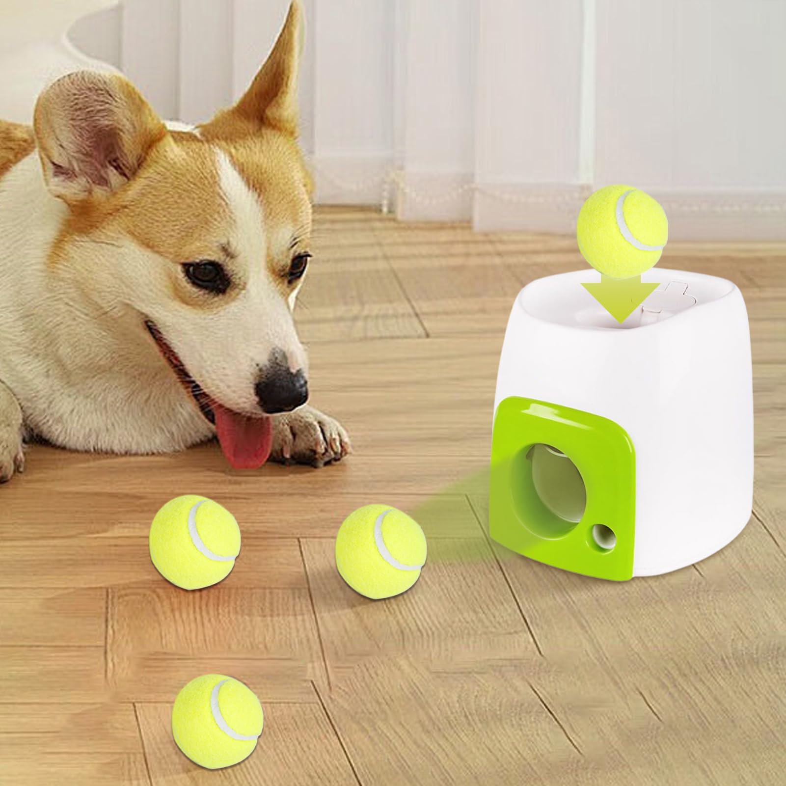 Lancement Automatique de Balle pour Chiens | Lanceur de balles pour Petits Chiens, interactifs récompense pour rapporter Le Rouleau d'activités Amusantes