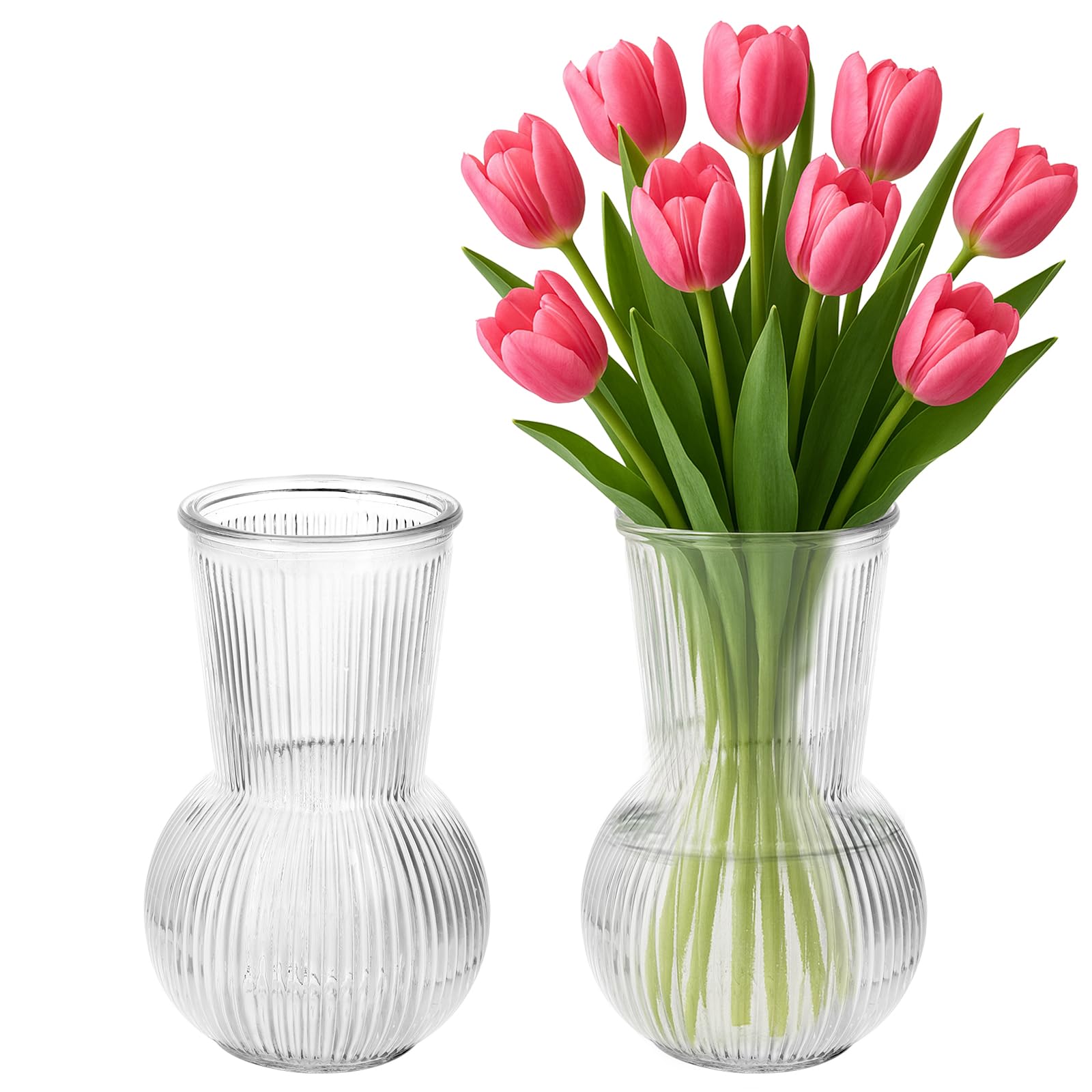 2 Jarrones de Vidrio - Jarrón para Tulipanes 17 x 12 x 12 cm - Material de Vidrio - Ideal para Presentación de Flores, Decoración de Mesa - para Bodas, Fiestas, Accesorios de Hogar (Transparente)