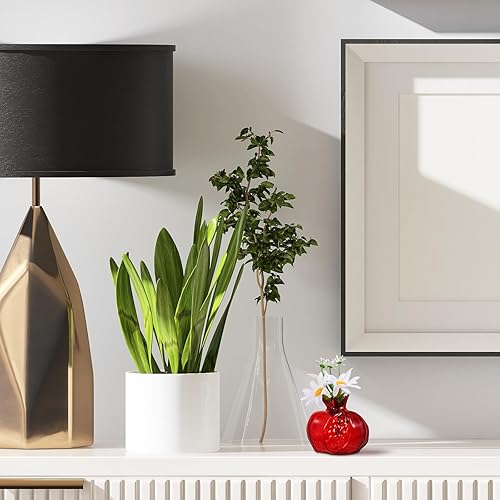 Miniatura 7 de Florero en forma de granada de vidrio hidropónico plantadores florero florero de vidrio botella de flores para arreglo de flores rojo