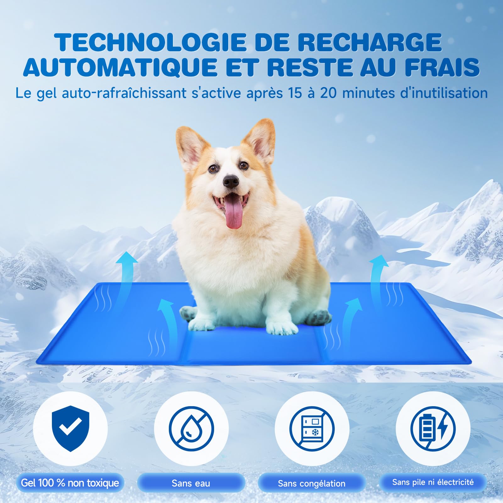 DONWEI Tapis Rafraichissant Chien, Tapis Rafraichissant en Gel Non Toxique, Auto-Rafraîchissant Chat, Imperméable et Pliable, Facile à Nettoyer, Couverture Rafraîchissant pour Animaux, 90×50CM