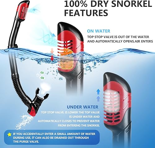 Miniatura 3 de Adult Snorkel Set, Professional Snorkeling Gear Panoramic Anti-Fog Diving Goggles and Dry Snorkel Tempered Glass Scuba Mask for Diving, Snorkeling