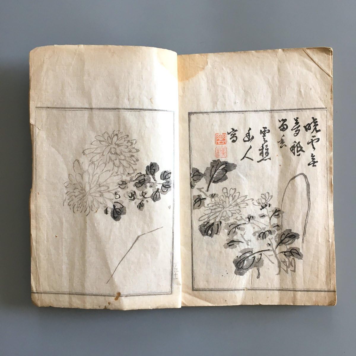 Amazon.co.jp: 『雲樵画譜 1 四君子部』 池田雲樵 木版画帖明治13年