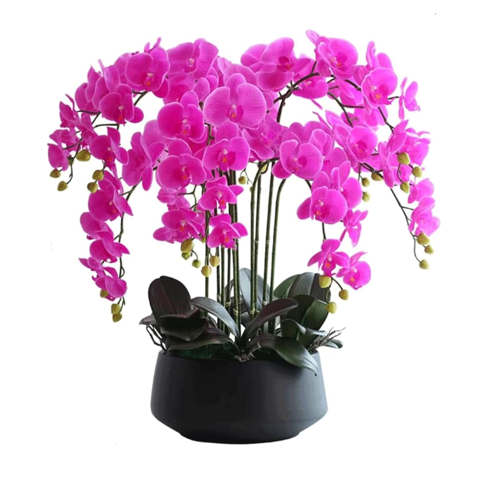 DFGHNBVC Artificial Orchid Artificial Orchid With Porcelain Planter Artificial Phalaenopsis Flowers 10 Artificial Faux Orchids 65Cm Artificial Flower Very Natural.Purple