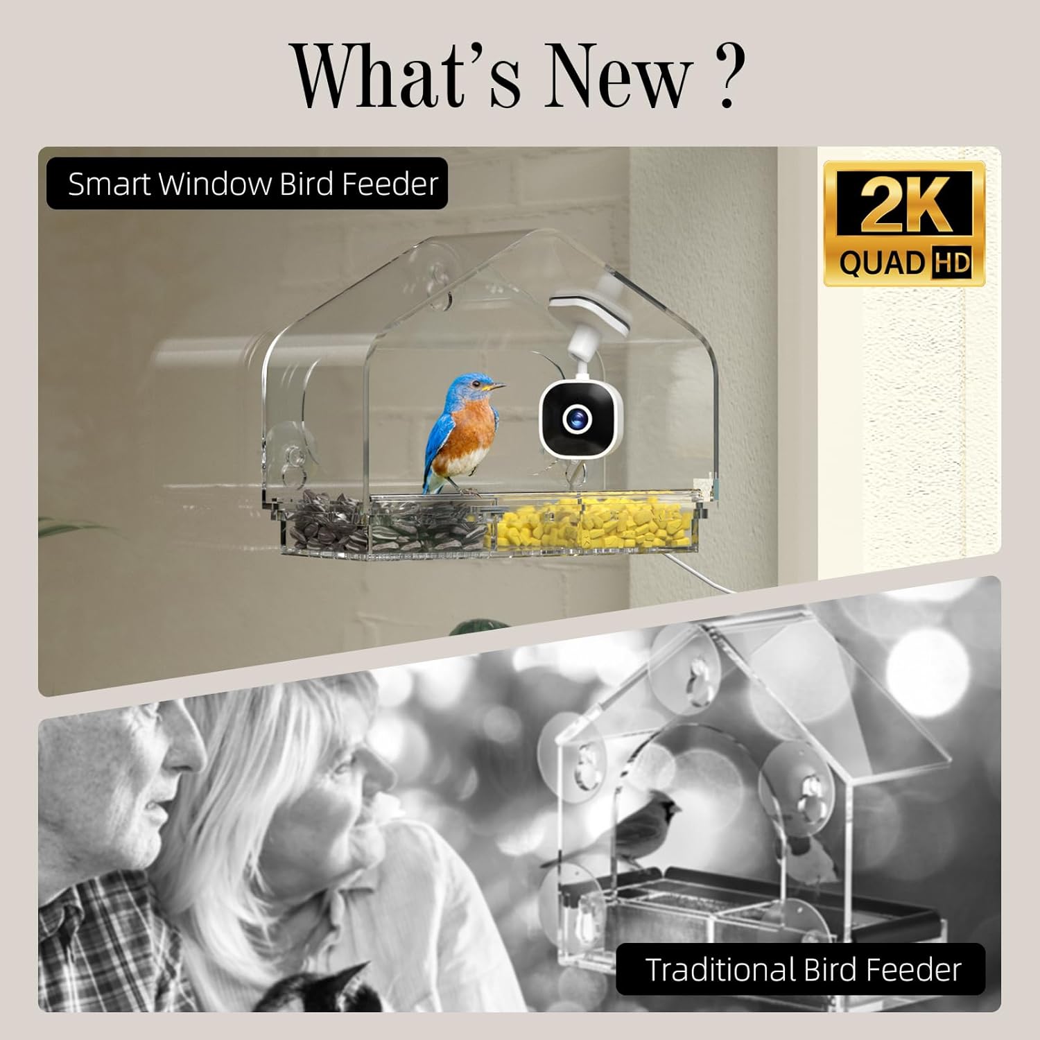 Smart Window Bird Feeder Camera with AI, Modern Design for Panoramic Views, 2K HD Live Feed, USB Powered & Secure Suction Mount - The Ultimate Tech Gift (Clear) - Image 2
