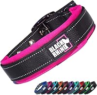 Vista 21 de Black Rhino Collar de perro para perros grandes - Collar de perro ajustable, reflectante y resistente de alta calidad con acolchado ultrasuave