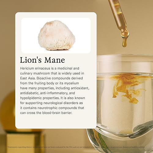 Miniatura 4 de Rainbo - Tintura de hongo melena de león - Sin alcohol - Suplemento de hongo de extracto dual - Apoyo cerebral, enfoque, memoria, suplemento líquido