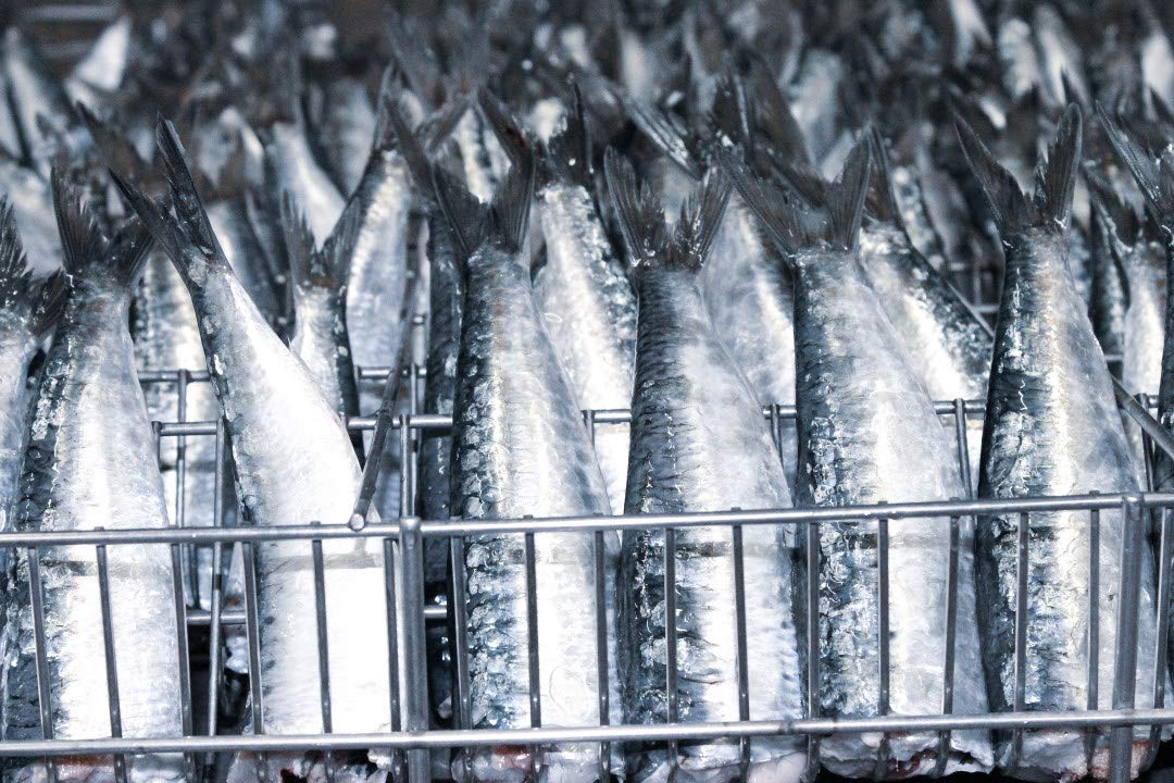 Sardines in olive oil 3 tins x 125 g, Porthos / Portugal