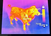 Review Image by Habby Gal Habby Gal