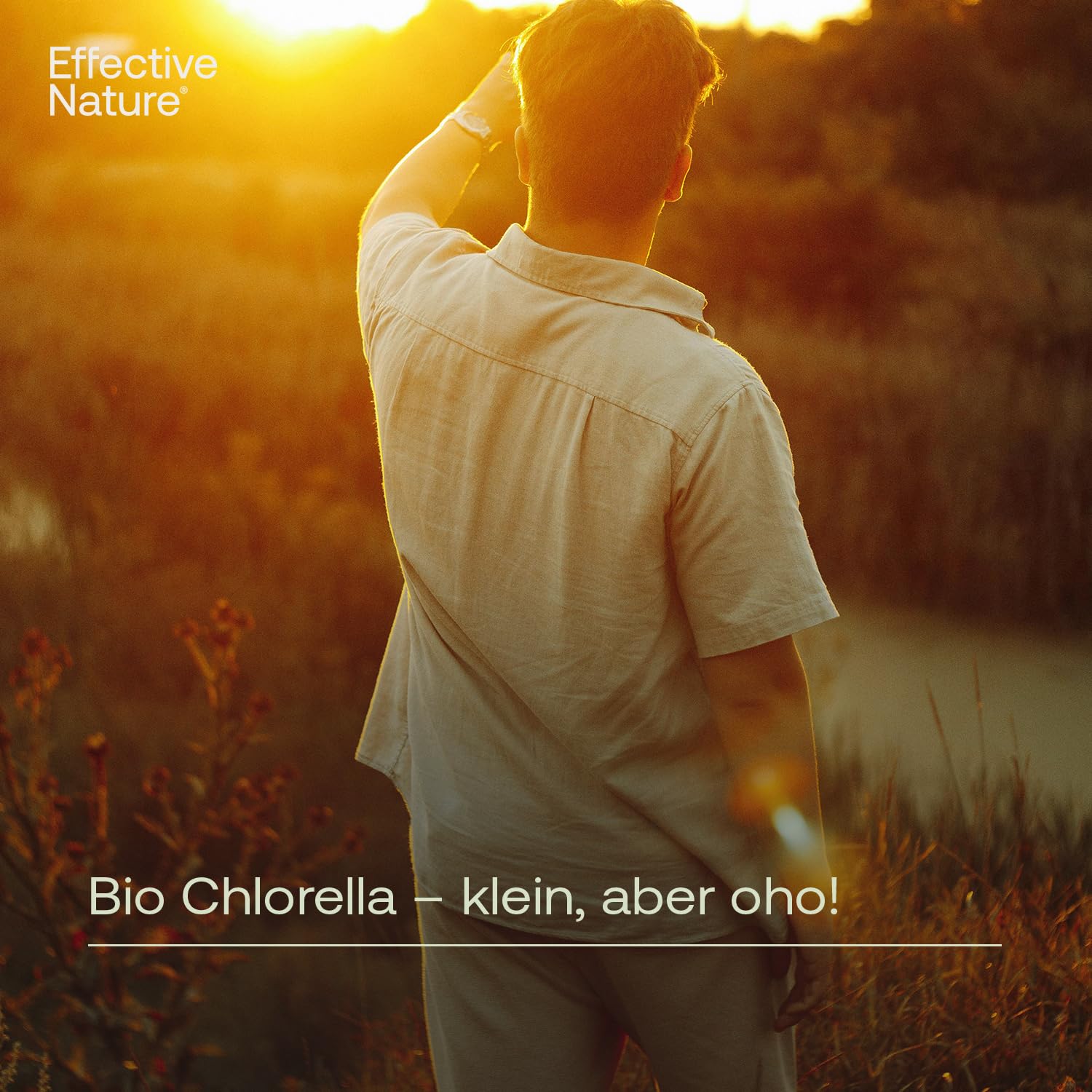 Chlorella Bio Presslinge - 1060 Tabletten - Hochdosiert mit 500 mg - Aus 100% Bio Chlorella - Reicht für mehr als 3 Monate - Abgefüllt & Kontrolliert in Deutschland (DE-ÖKO-006)
