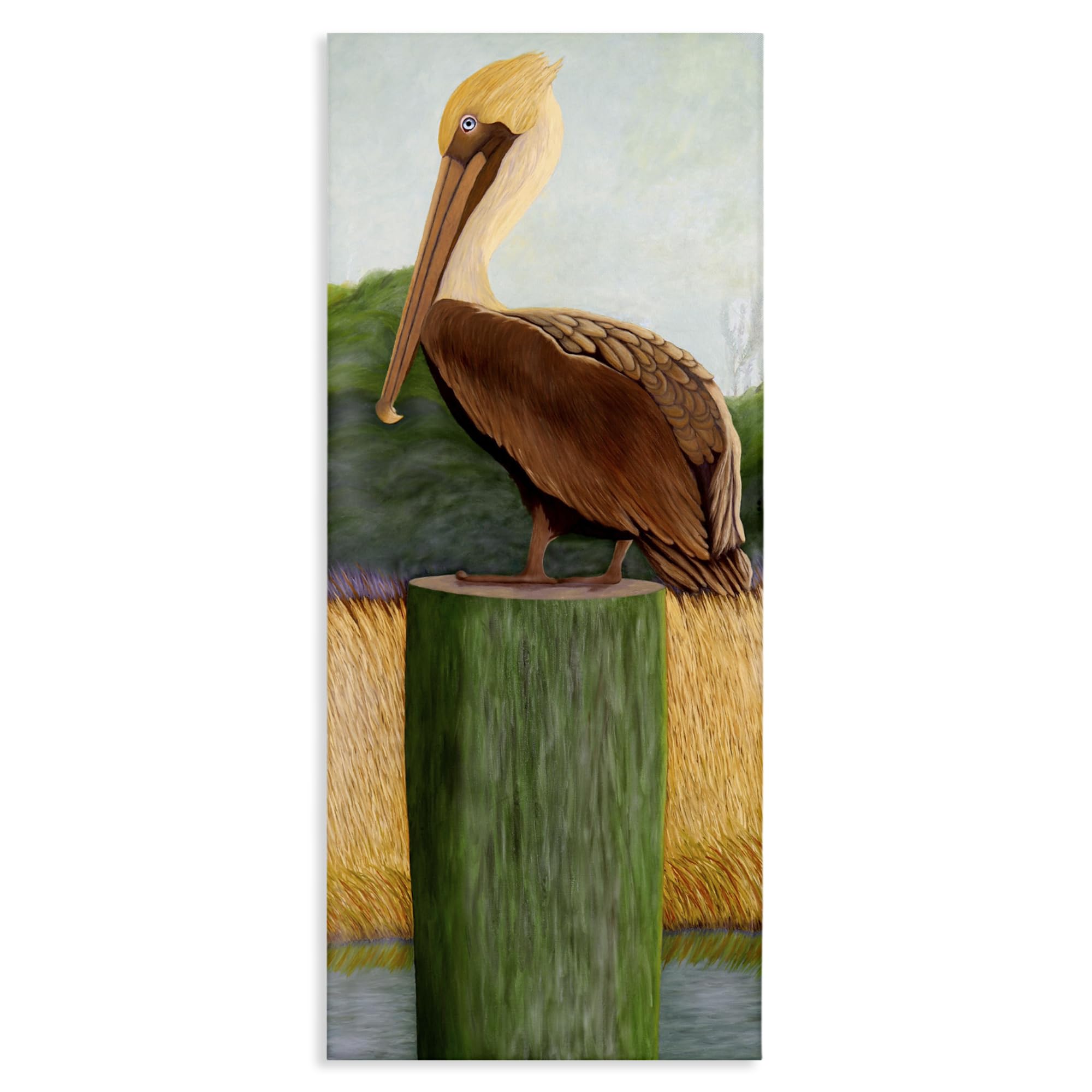 Stupell Industries 'Blue Eyed Pelican', Canvas Art, 10 x 24