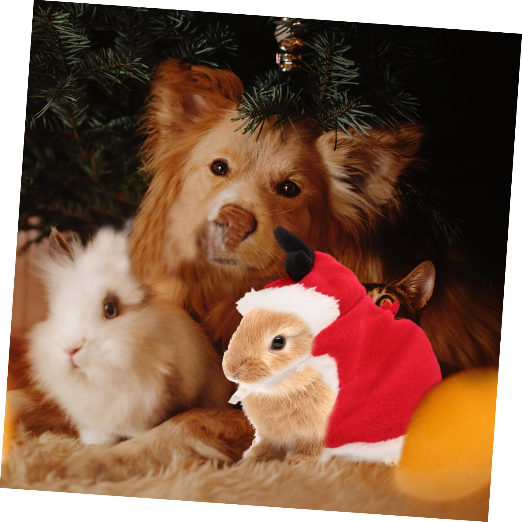 Harnais Lapin Nain RéGlable avec Laisse Pratique pour Promenade SéCuriséE VêTement De NoëL Confortable pour Petits Animaux