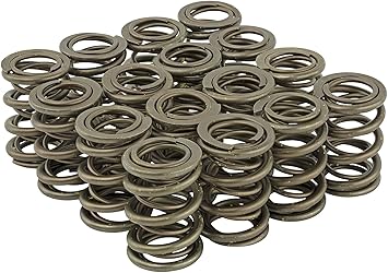 Skunk2 Racing 311-05-7350 Pro Series XP Racing Valve Spring Kit Honda B Series VTEC
