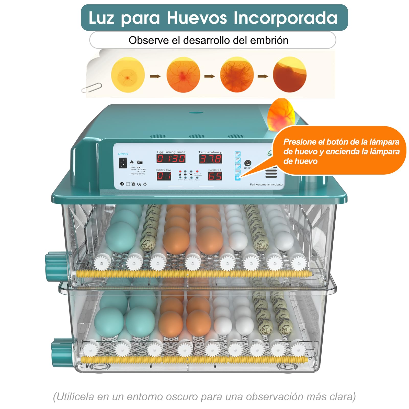 Incubadora Huevos Gallina, Incubadora de 120 Huevos, Incubadora Automática con Monitoreo de Humedad, Volteo Automático de Huevos y Lámparas de Huevo