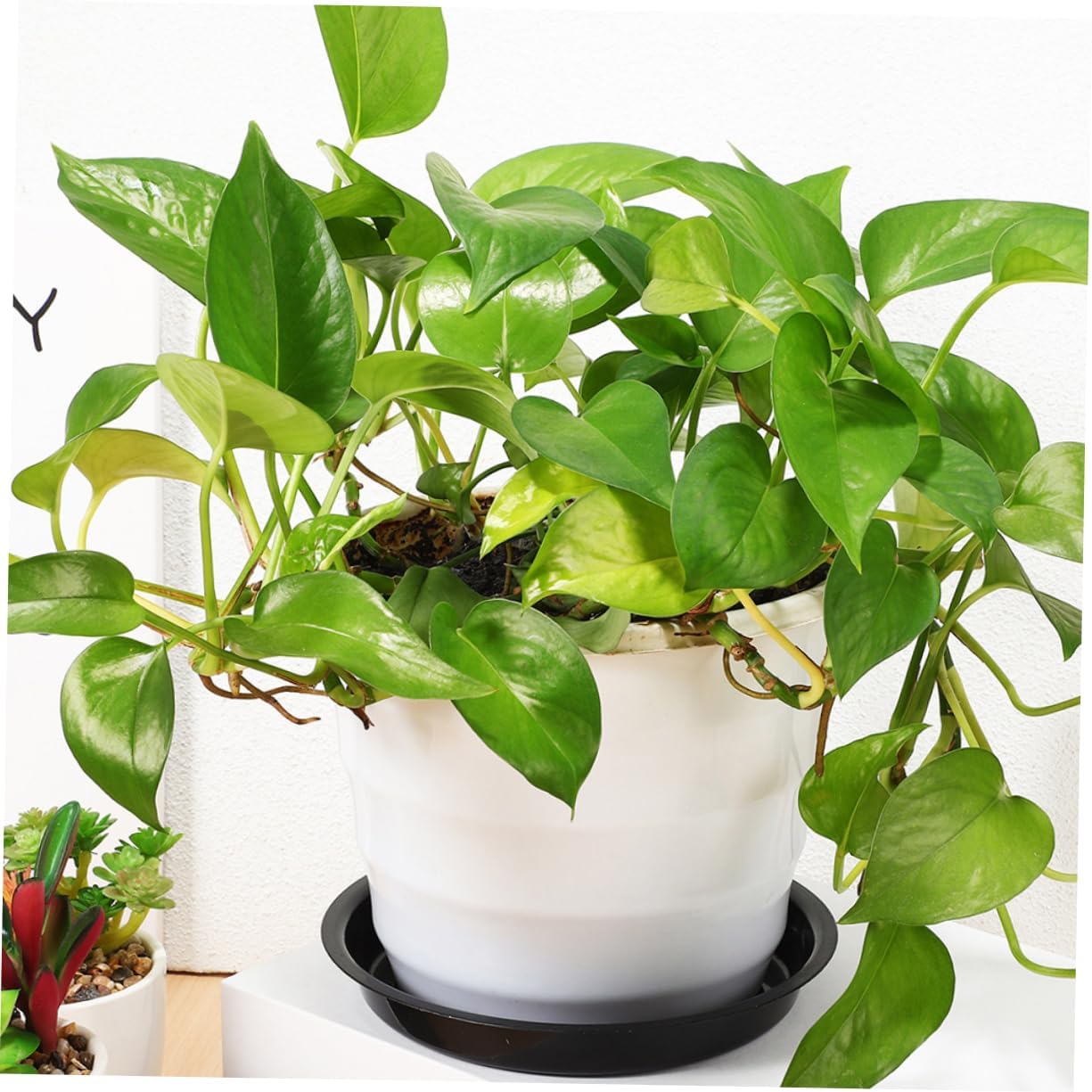 balacoo 80pcs Plant Saucers Thick Round Flower Pot Trays to Catch Water for Indoor and Outdoor Use Material