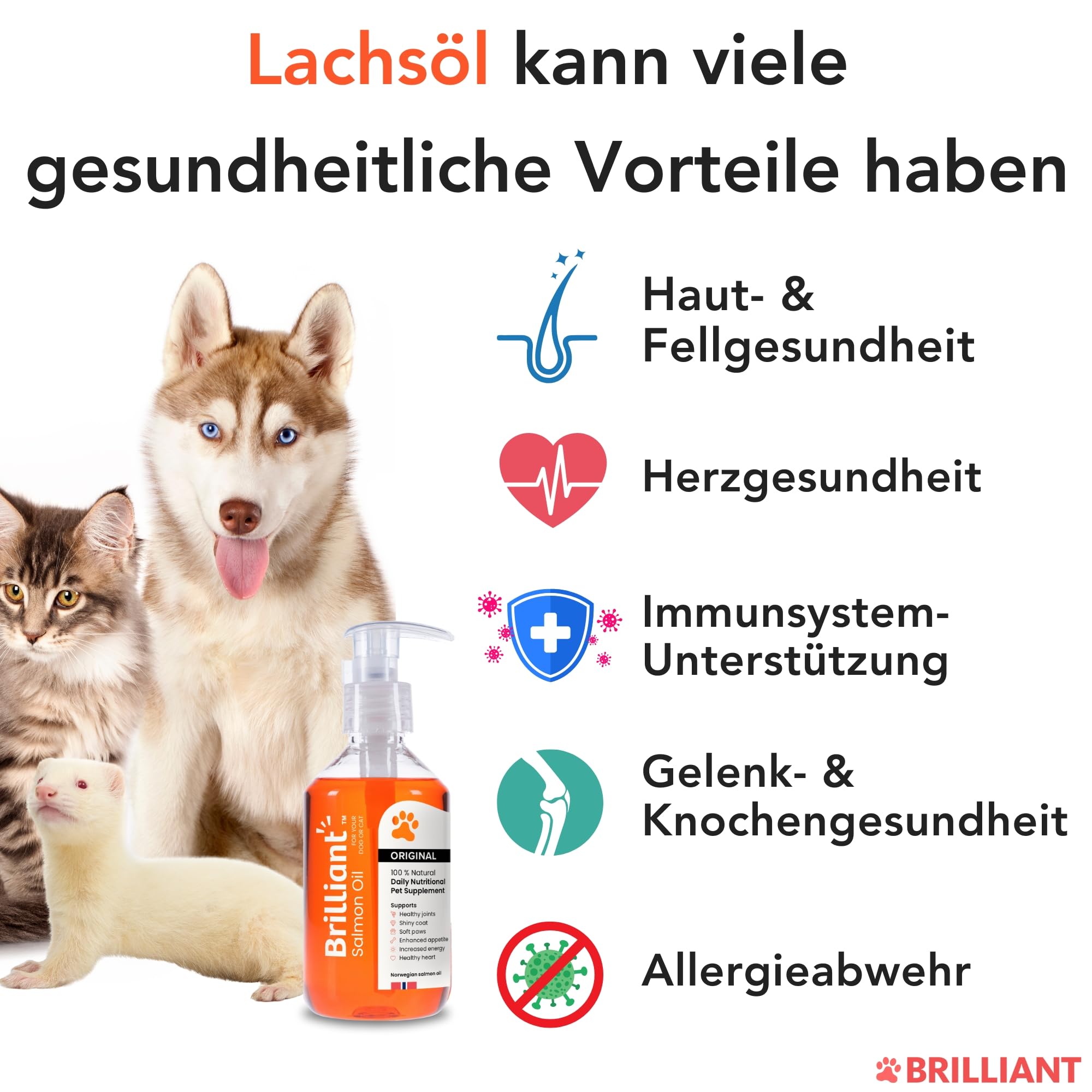 Hofseth BioCare BRILLIANT | Norwegisches Lachsöl für Katzen und Hunde Fördert glänzende Mäntel | Verbesserter Appetit | Weiche Pfoten | Energie erhöhen | Nicht GVO | 2 x 300ml