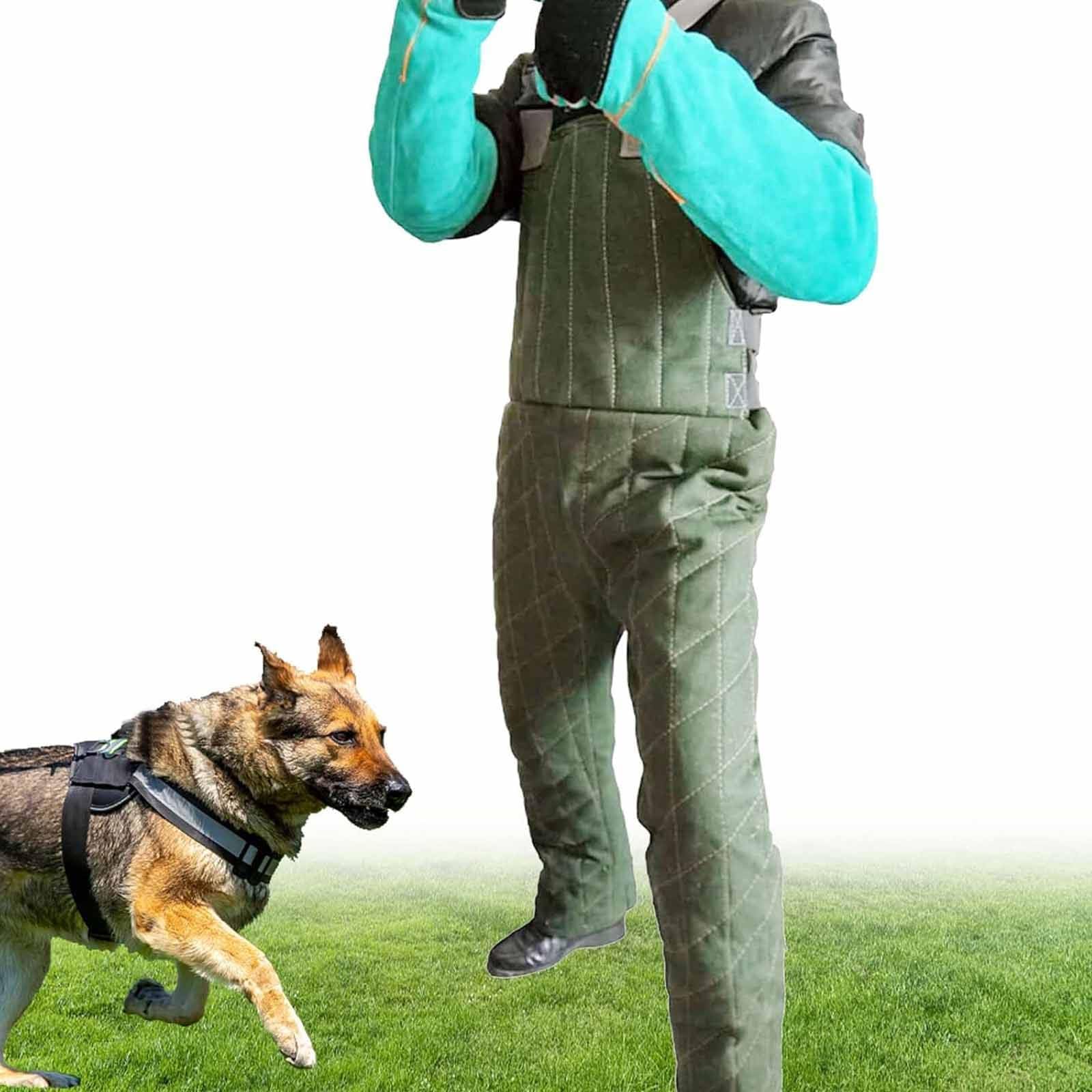 Dog Bite Suit, Professional Dog Training Bite Resistant Full Bite Protection Suit, Training Dog Protective Clothing Bite To Strengthen Safety Clothing,A-L