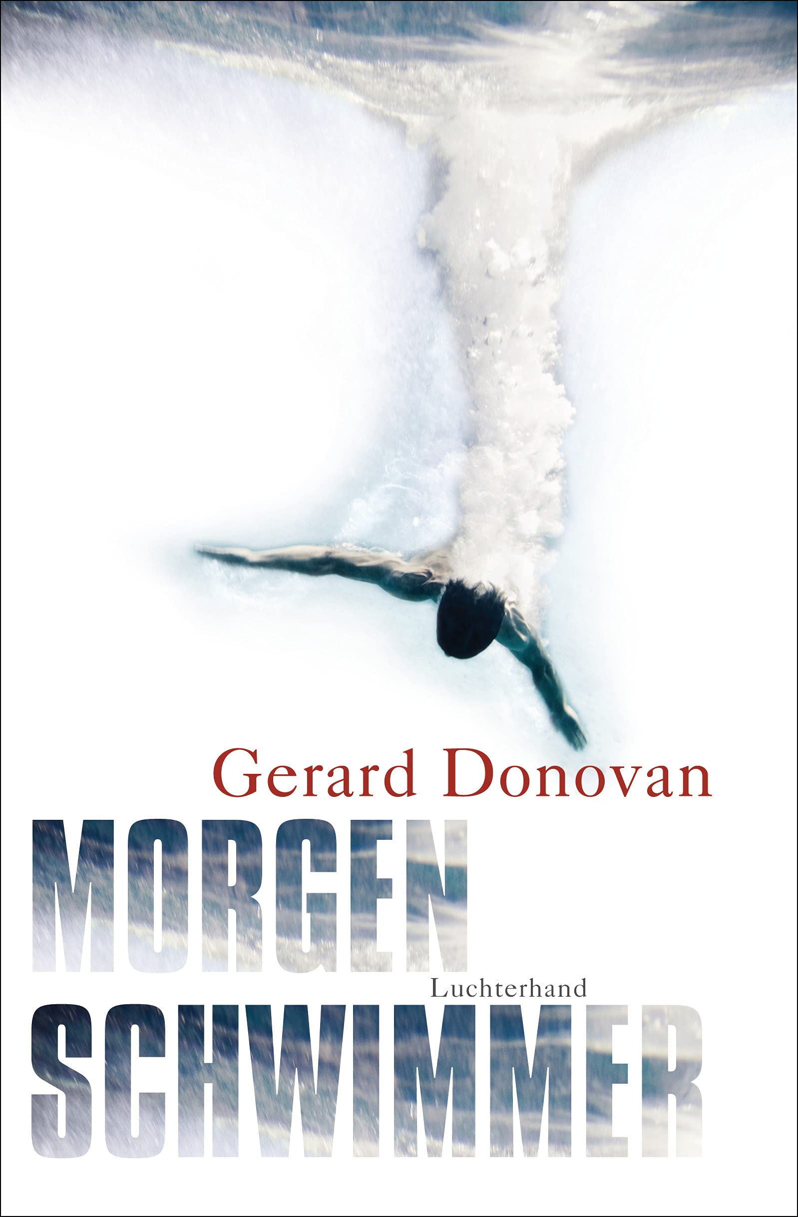 Luchterhand Literaturverlag Morgenschwimmer: Irische Geschichten