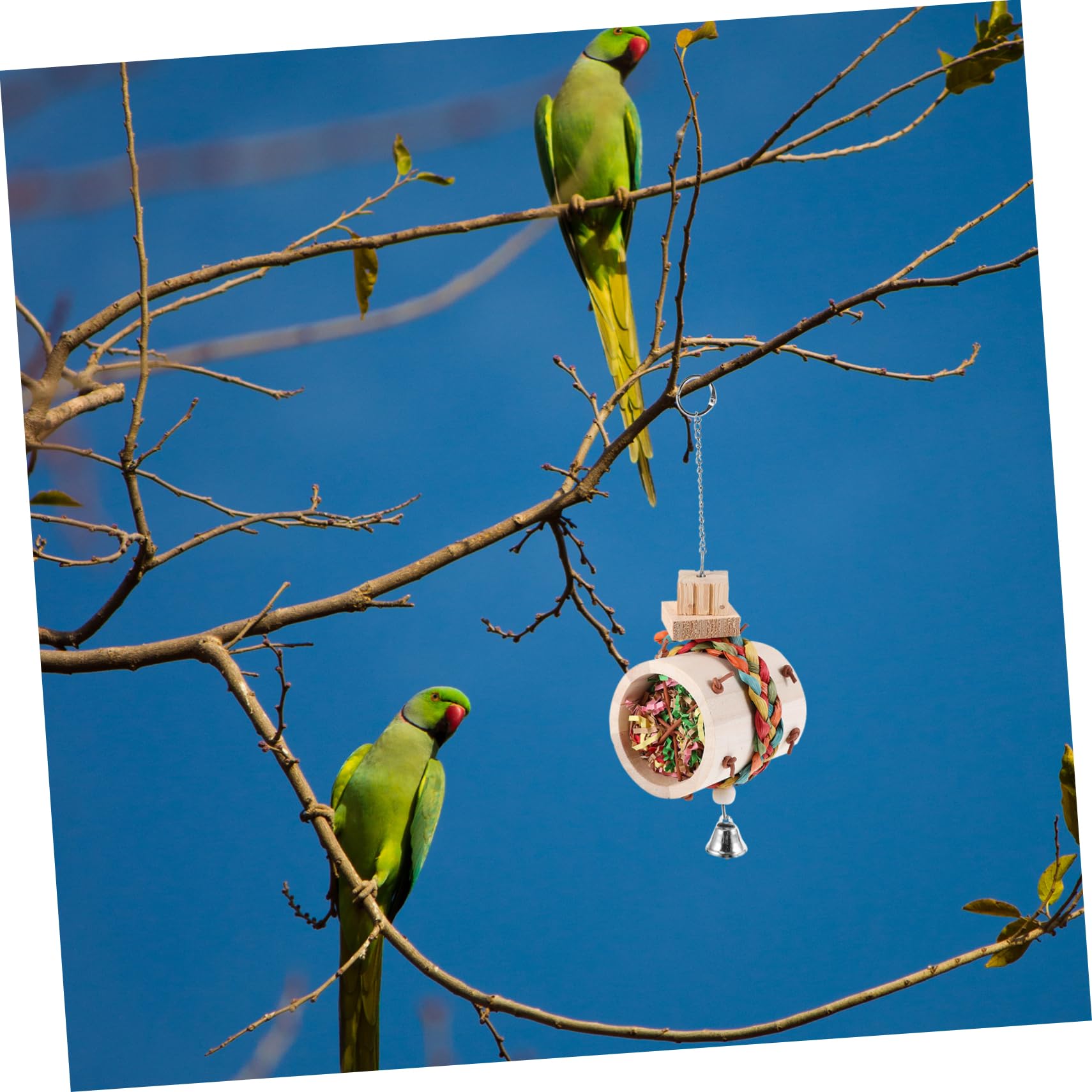 BESPORTBLE 3pièces Jouet à Manger pour Oiseaux Jouet De Formation pour Perroquets Tube à Mâcher Suspendu pour Oiseaux pour Éviter Ennui Stress