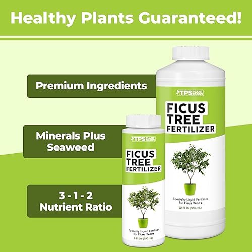Miniatura 5 de Fertilizante de árbol de ficus para todas las plantas de ficus, higo y moraceae, alimento líquido para plantas, 8 oz (8.5 fl oz)