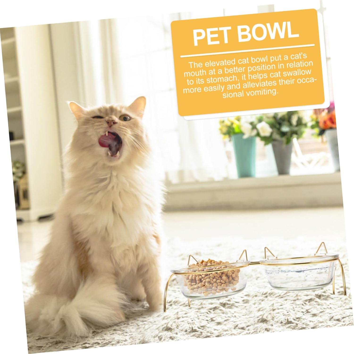 Tilted Transparent Cat Food Bowl with Double Bowls and Iron Stand Elevated Neck Protective Design Reduces Stomach Pressure Easy- pet Feeder for Cats and Pets