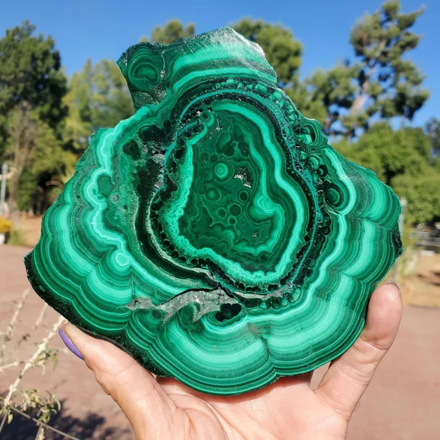 Natural Malachite Slice – Polished Mineral Crystal Specimen with Raw Stone | Unique Decorative Stone for Home Decor, Collection & Geological Science Education