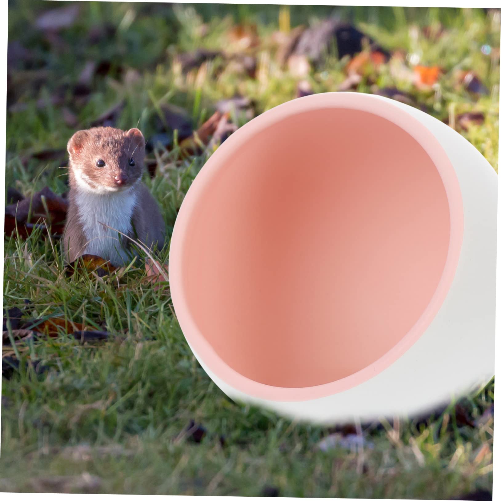 Nido Cerámico para Hámster Pequeños Refrescante y Duradero Cama para Mascotas con Material Ecológico para Descanso Cómodo