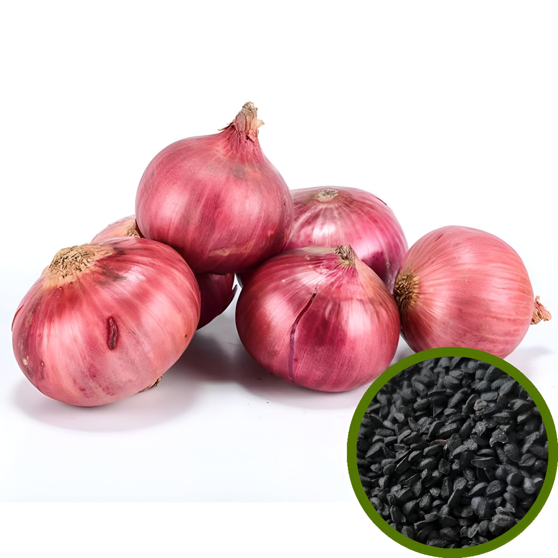 Go Garden Onion Seeds For Home Garden (500+ Seeds With More Than 70% Germination) Seeds to grow in Your Home & kitchen garden (B0CQKDL7T3) Amazon Price History, Amazon Price Tracker