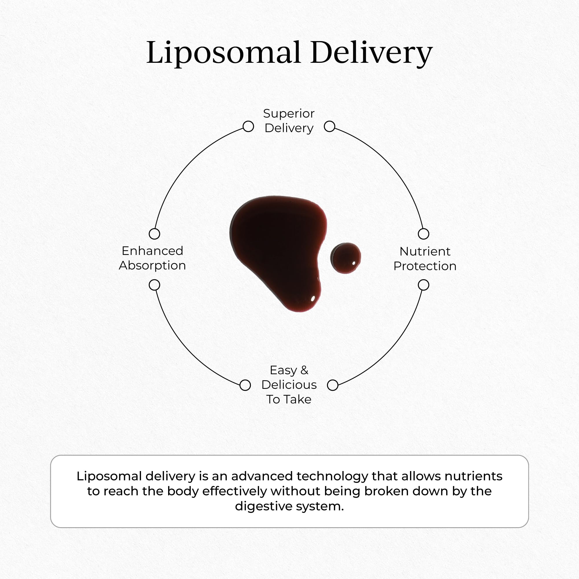 CYMBIOTIKA Liposomal Elderberry with Vitamin E for Immune Support — Amazon image 4