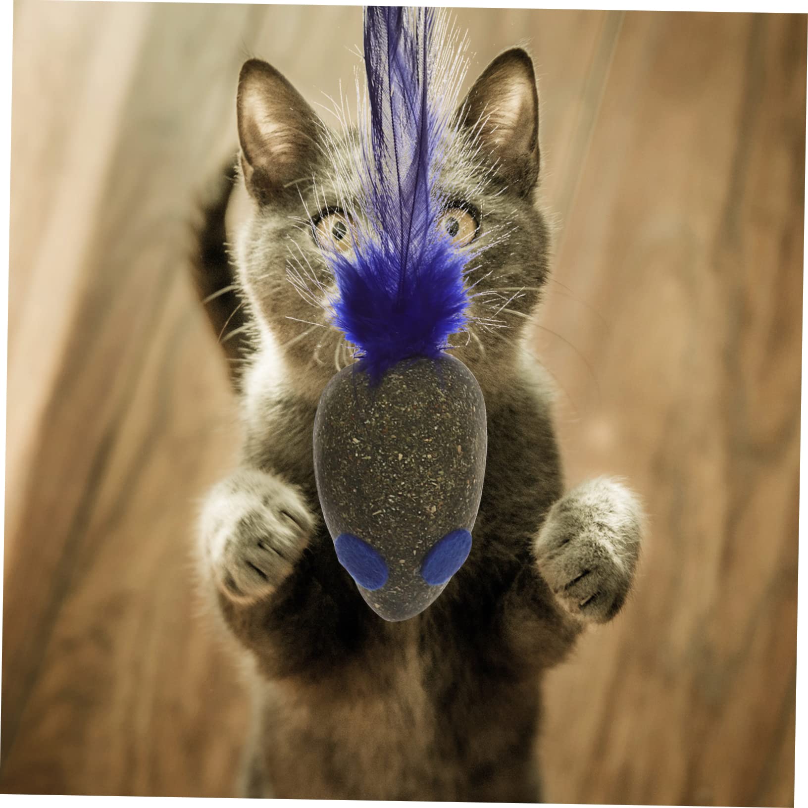 Didiseaon 16 Piezas Juguete para Gatos Juguetes De Gatera para Ratones Gato De Interior Juguete Molar para Mascotas Cosas De Gatos Juguetes Interactivos para Masticar Modelo